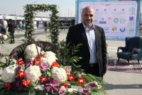 کاشت مرغوب ترین گل کلم ایران در کهریزک