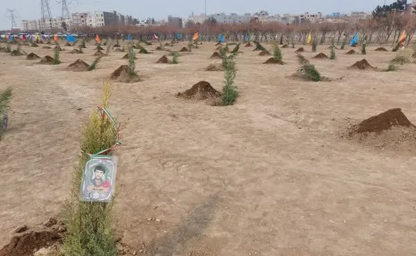 کاشت ۱۲٠ درخت به یاد شهدای شهرستان ری و باقرشهر