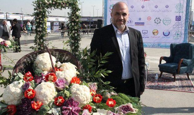 کاشت مرغوب ترین گل کلم ایران در کهریزک