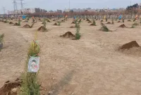 کاشت ۱۲٠ درخت به یاد شهدای شهرستان ری و باقرشهر