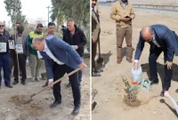حمایت شهردار کهریزک از مردم غزه با کاشت درخت زیتون